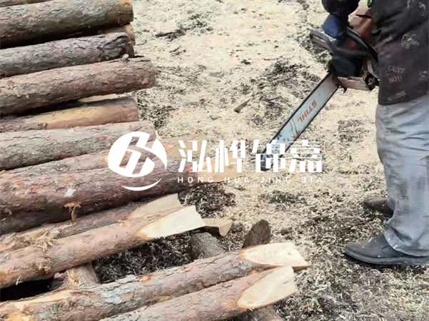 杉木樁批發(fā)廠家哪家好？產(chǎn)地直供渠道推薦！