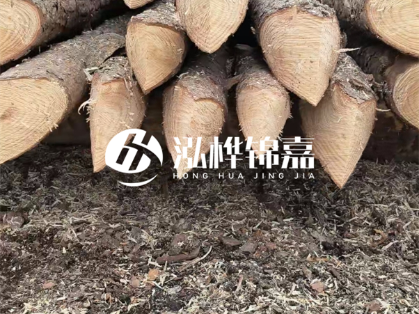 打樁木樁與鋼樁相比有哪些優(yōu)缺點？如何進行后期維護？